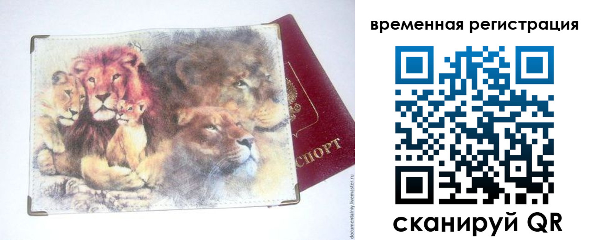прописка поиск в Ижевске